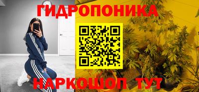 крисы Краснознаменск